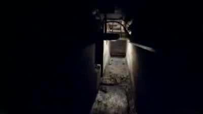 Trailer V