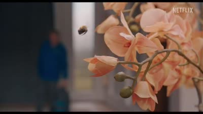 Trailer Man Vs Bee