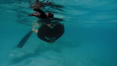 Trailer Perpetual Planet: Heroes of the Oceans
