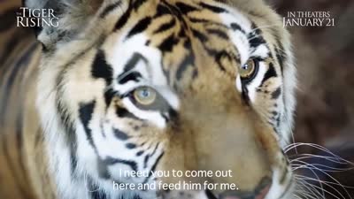 Trailer The Tiger Rising