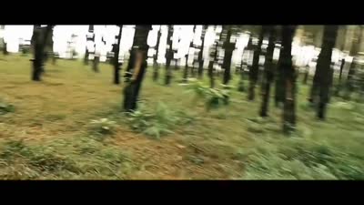 Trailer The River