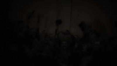 Trailer Wartorn: 1861-2010