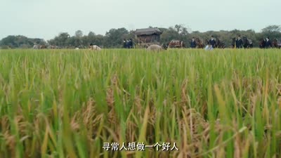 Trailer Royal Feast