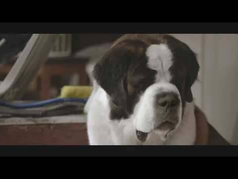Trailer Beethoven's Christmas Adventure