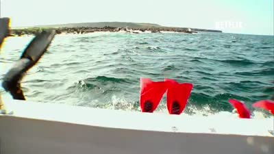 Trailer Mission Blue