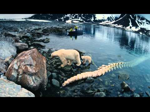 Trailer To the Arctic