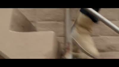 Trailer Dawn Patrol
