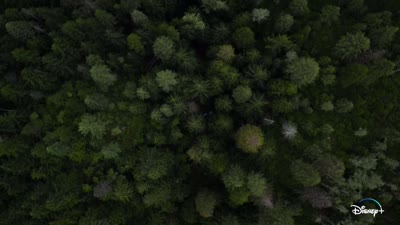Trailer Super/Natural