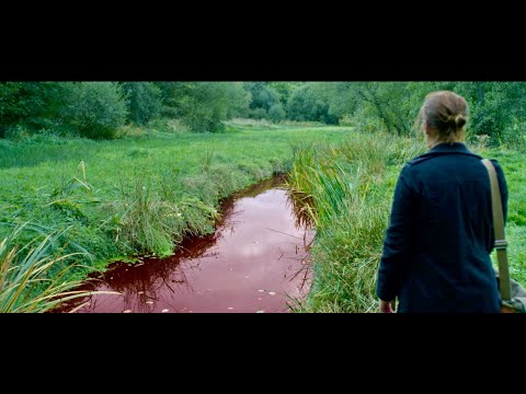 Trailer Green Tide (Les algues vertes)