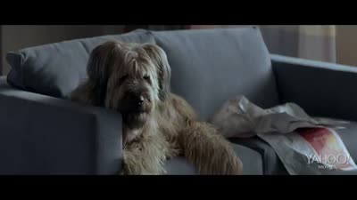 Trailer A Perfect Man