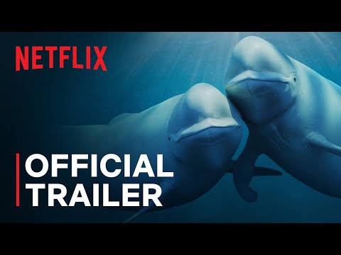 Trailer Our Oceans