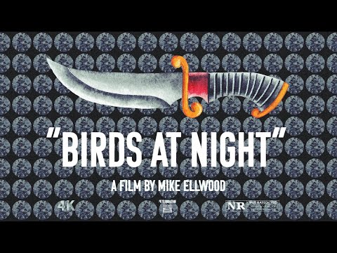 Trailer Birds at Night
