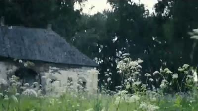 Trailer Wolf Children