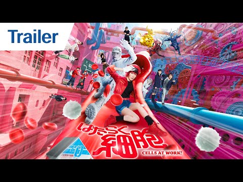 Trailer Cells at Work! (Hataraku saibou) Cells at Work