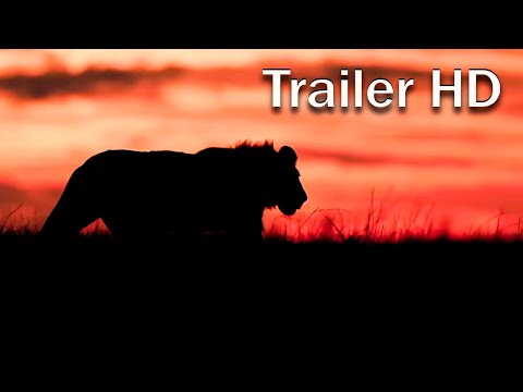 Trailer Prey (Kalahari)