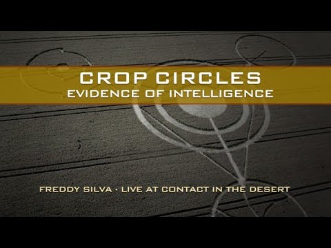 Trailer Crop Circles: Evidence of Intelligence