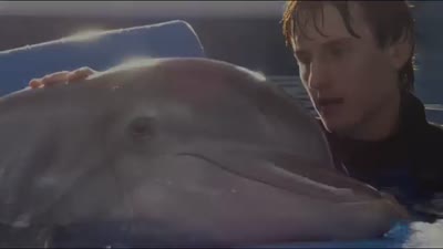 Trailer Dolphin Tale 2
