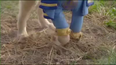 Trailer Super Buddies