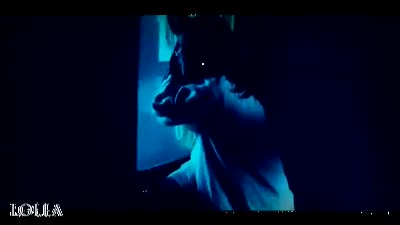 Trailer Master's Sun