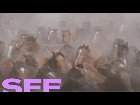 Trailer Only on Earth