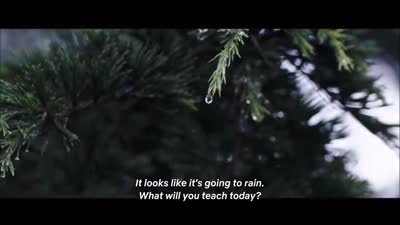 Trailer Music Teacher