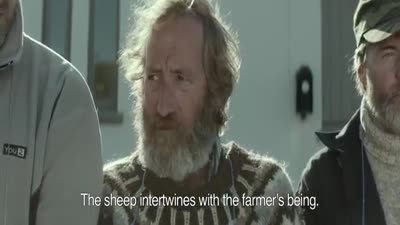 Trailer Rams