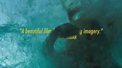 Trailer My Name Is Emily