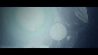 Trailer The Shelter