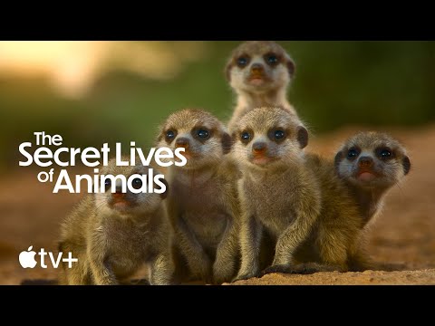 Trailer The Secret Lives of Animals