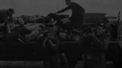 Trailer Night Will Fall