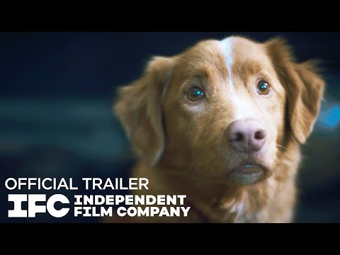 Trailer Good Boy
