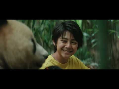 Trailer Moon le Panda