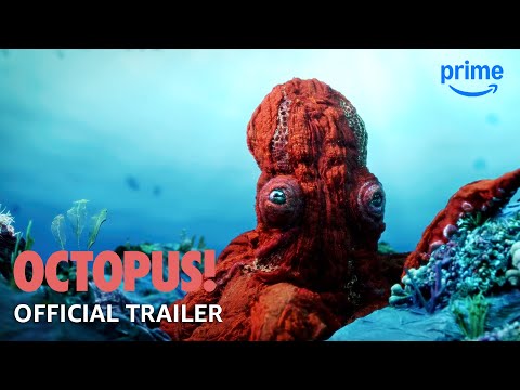Trailer Octopus!