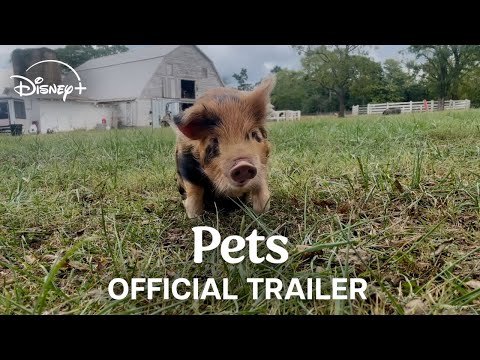 Trailer Pets