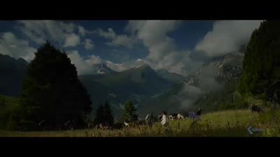 Trailer Heidi