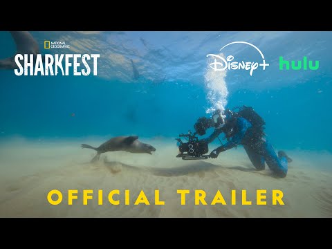 Trailer Sharks Up Close with Bertie Gregory