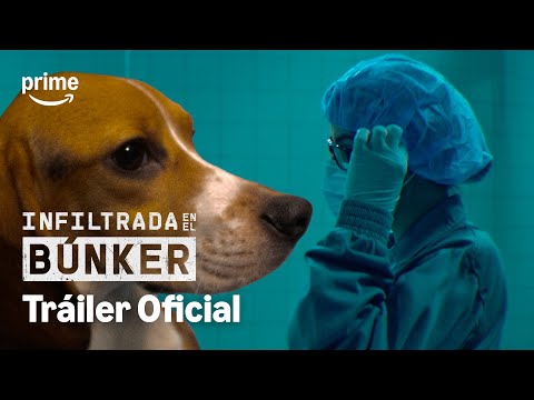 Trailer Infiltrada en el búnker (Undercover. Inside the Bunker)