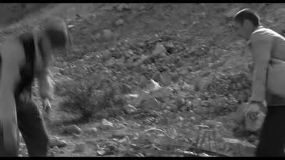 Trailer White Gate
