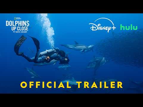 Trailer Dolphins Up Close with Bertie Gregory
