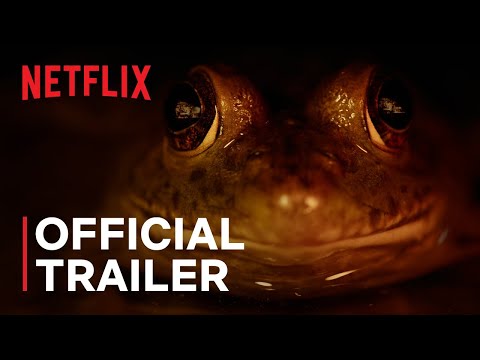 Trailer Nightmares of Nature