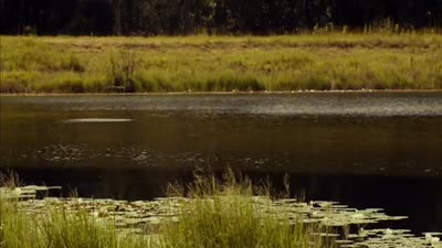 Trailer The Hollow