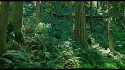 Trailer Leave No Trace (My Abandonment)