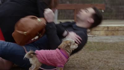 Trailer A Dogwalker's Christmas Tale