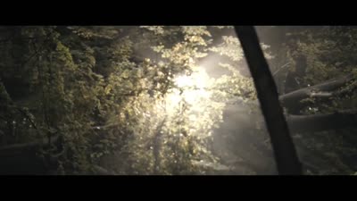 Trailer The House That Jack Built