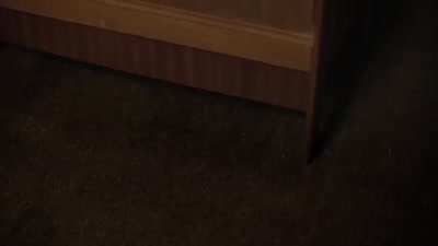 Trailer The Enfield Haunting