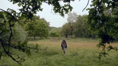 Trailer Detectorists