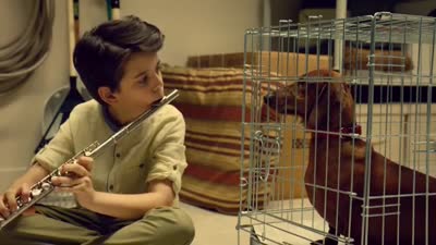 Trailer Wiener-Dog