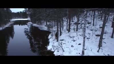 Trailer The Find