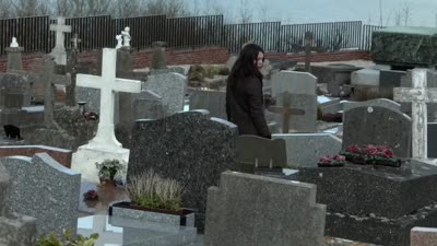 Trailer Witnesses