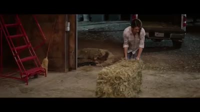 Trailer Running Wild